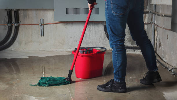 Best Residential water damage restoration  in Collierville, TN