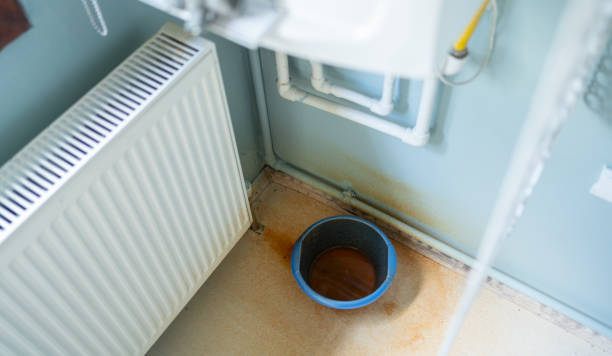 Best Flooded house restoration  in Collierville, TN