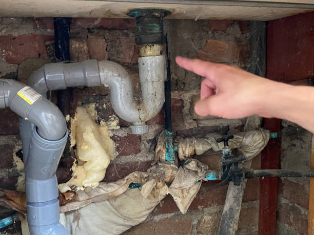 Best Residential water damage restoration  in Collierville, TN