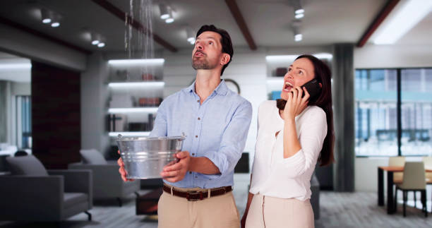 Best Fire Damage Restoration  in Collierville, TN