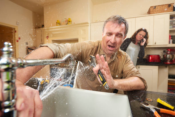 Best Flood restoration services  in Collierville, TN